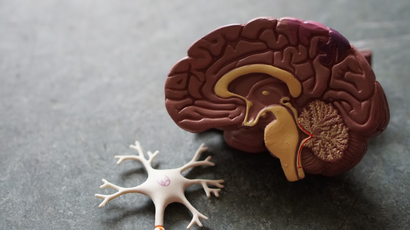 Exploring the Human Brain: Advancements in Neuroscience with the Potential to Revolutionize Treatment for Neurological Disorders